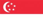 Singapore Flag Singapore Flag